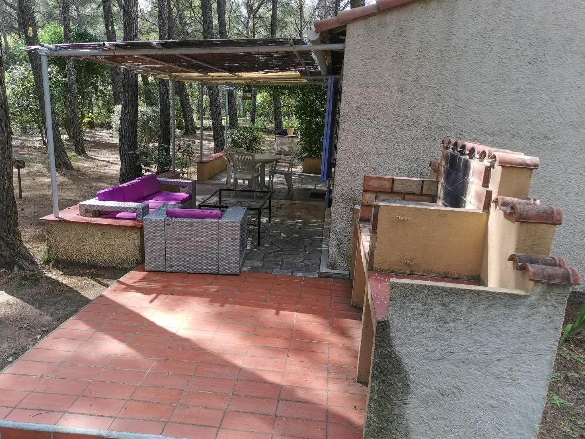 Maisonnette En Pleine Nature Le Beausset Zewnętrze zdjęcie